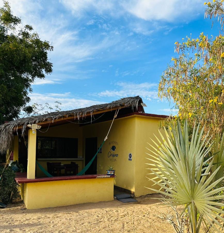 Cabo PulmoBungalow Cirujanoアパートメント エクステリア 写真