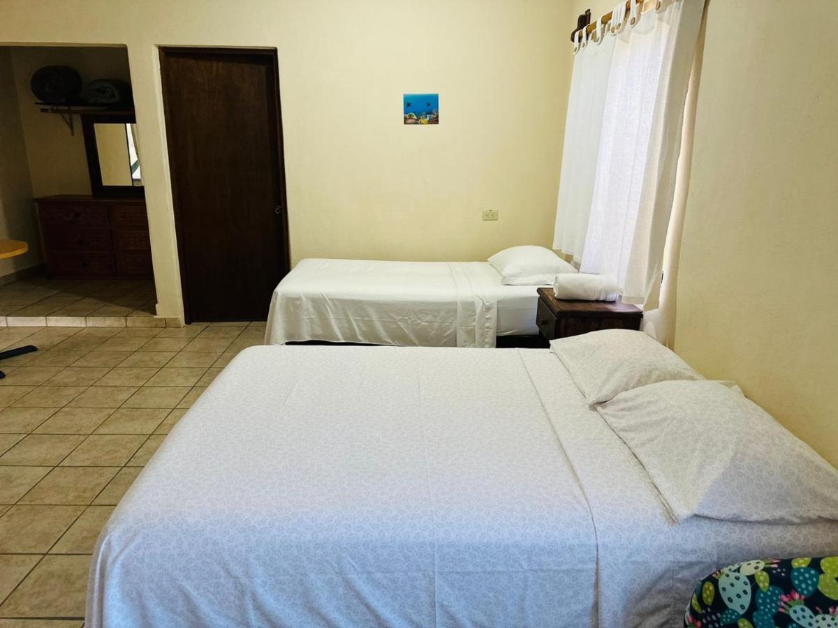 Cabo PulmoBungalow Cirujanoアパートメント エクステリア 写真